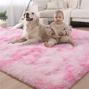 Luxury Shag Rug Fluffy Area Rugs 4x6 Feet, Cute Rainbow Rugs for Girls Bedroom